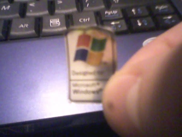 25654_1350884488762_5177004_n.jpg